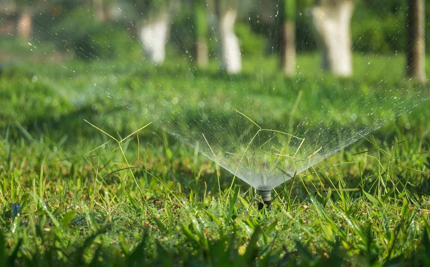 Gramado verde sendo irrigado por aspersores